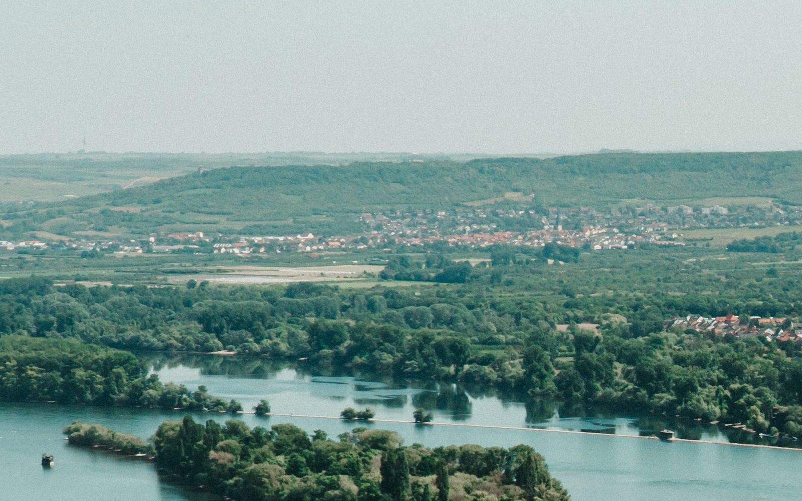 Blick über den Rhein und die Weinberge bei Rüdesheim